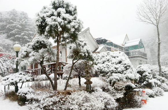 Winter