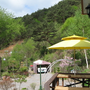 2006년5월7일 펜션포유 풍경