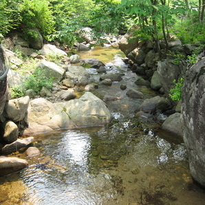 2006년6월4일 펜션포유 풍경