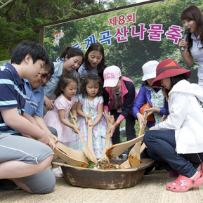 진동계곡 산나물축제