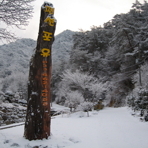 2008년3월3일 펜션포유 풍경