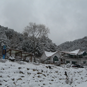2008년1월11일 펜션포유 풍경